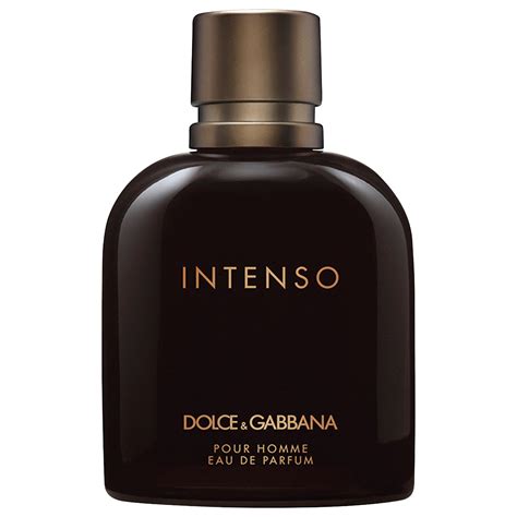 dolce gabbana homme intenso|dolce and gabbana intenso notes.